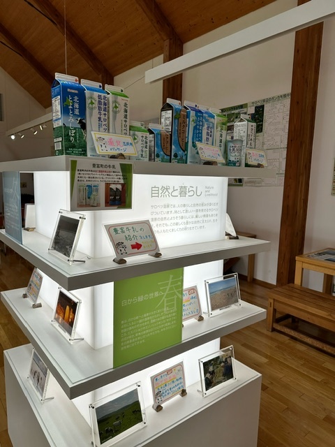image3 (JPEG 120KB)