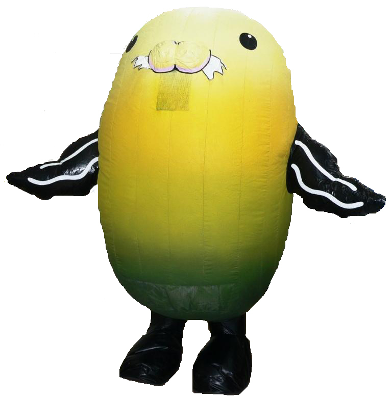 dashinosuke-kigurumi.jpg