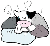 toyotomikun-illustration.PNG