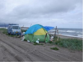海岸利用2.jpg