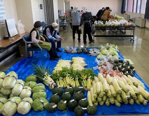 会員の畑で収穫された野菜