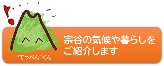 36.png