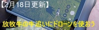 放牧牛の牛追いにドローンを使おう!