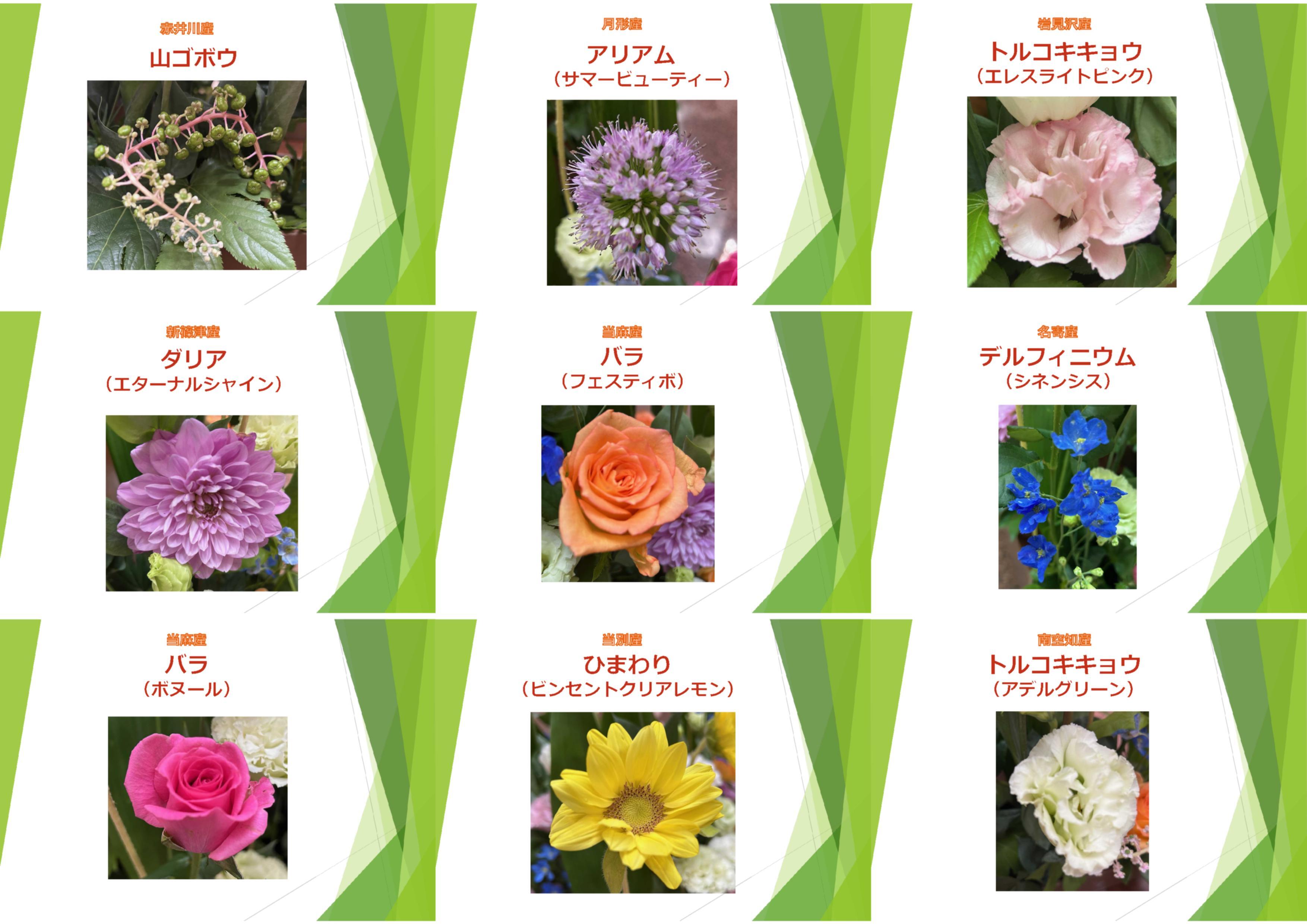 展示用資料 (JPG 475KB)
