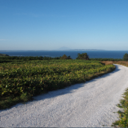 city-mark-wakkanai2 (PNG 108KB)