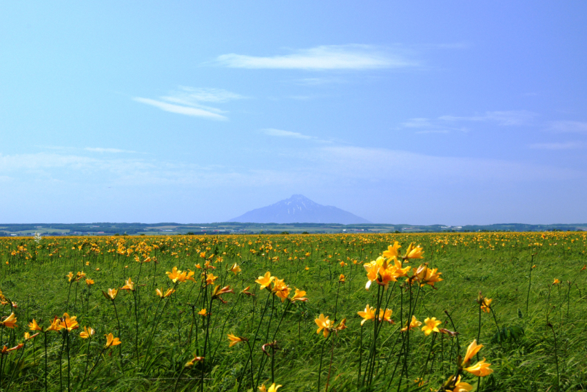 phototoyotomi3.PNG