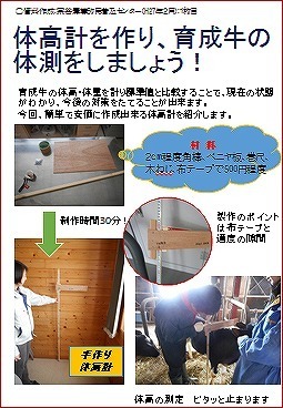 体高計を作り、育成牛の体側