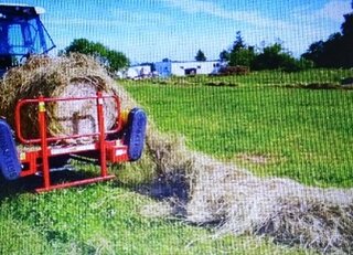 放牧地で乾草を給与